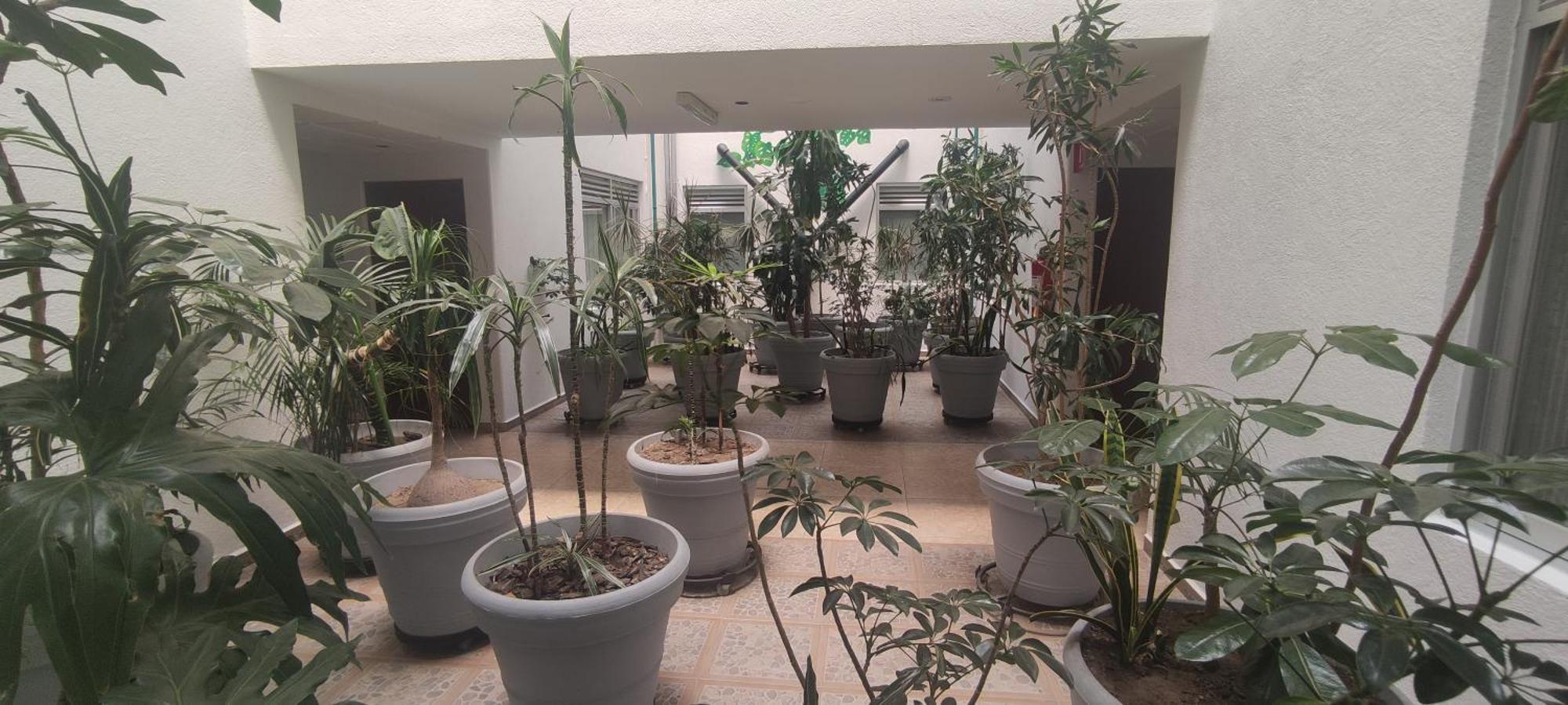Hotel Habana Мехіко Екстер'єр фото