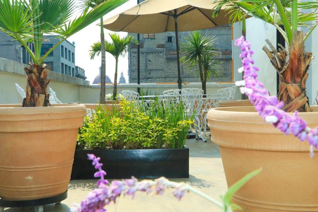 Hotel Habana Мехіко Екстер'єр фото